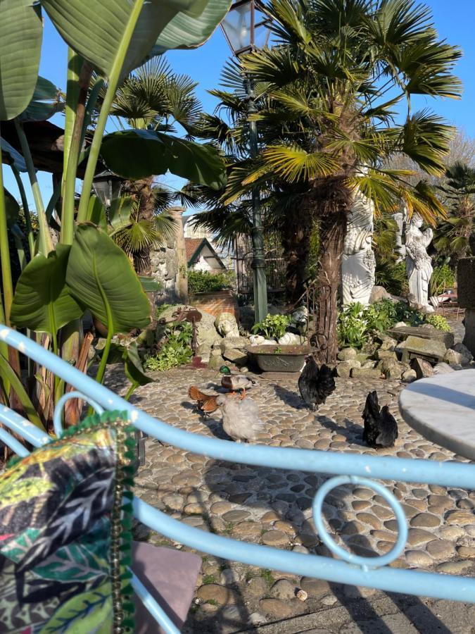 Paradijs Eiland ヒルレーゴム エクステリア 写真